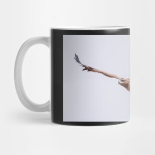 Martial Eagle Mug